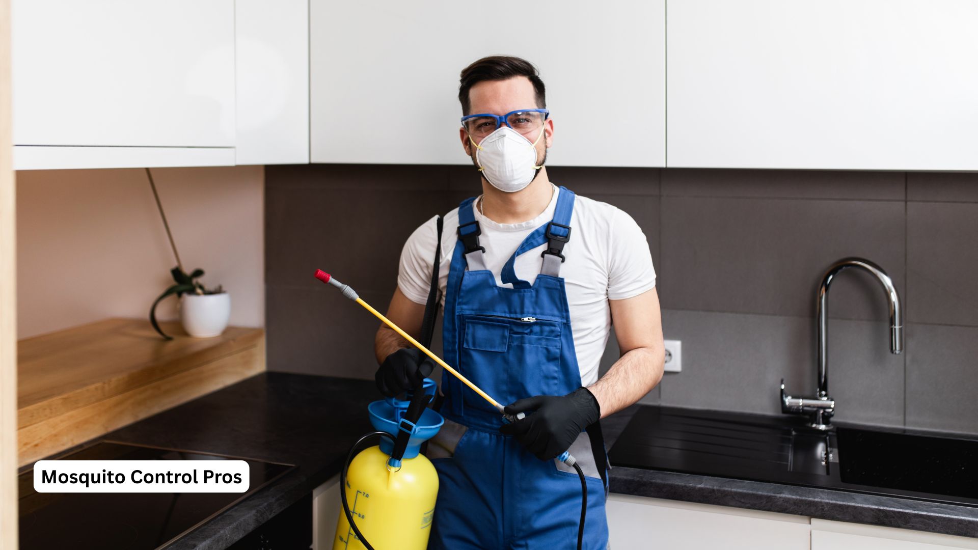 Professional mosquito control treatment in Meridian Idaho