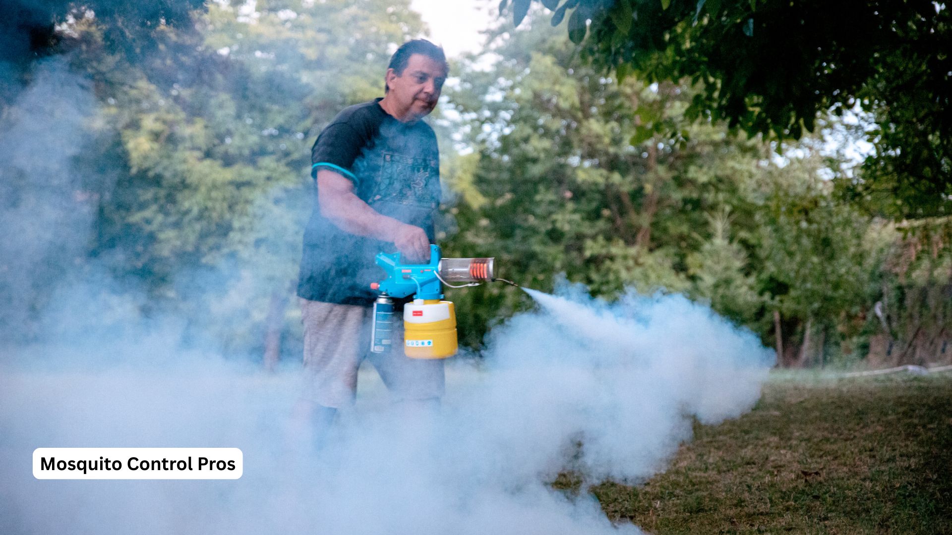 Mosquito fogging treatment for immediate relief