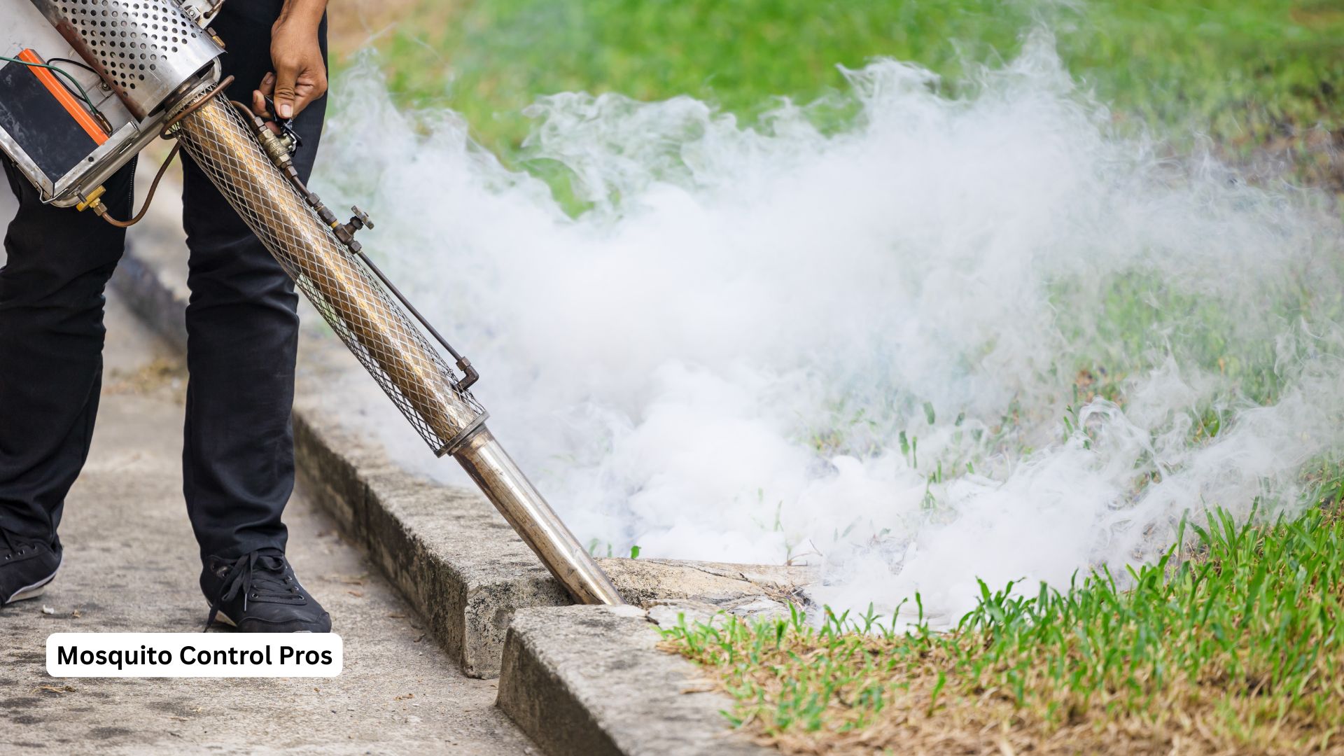 Professional mosquito trap installation